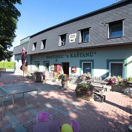 Pension U Kastanu Karlovy Vary Kültér fotó